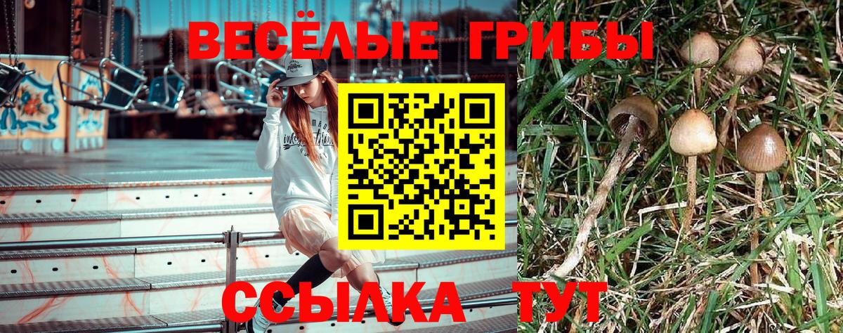 Галлюциногенные грибы ЛСД Лысьва